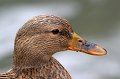 Zoo Straubing_049